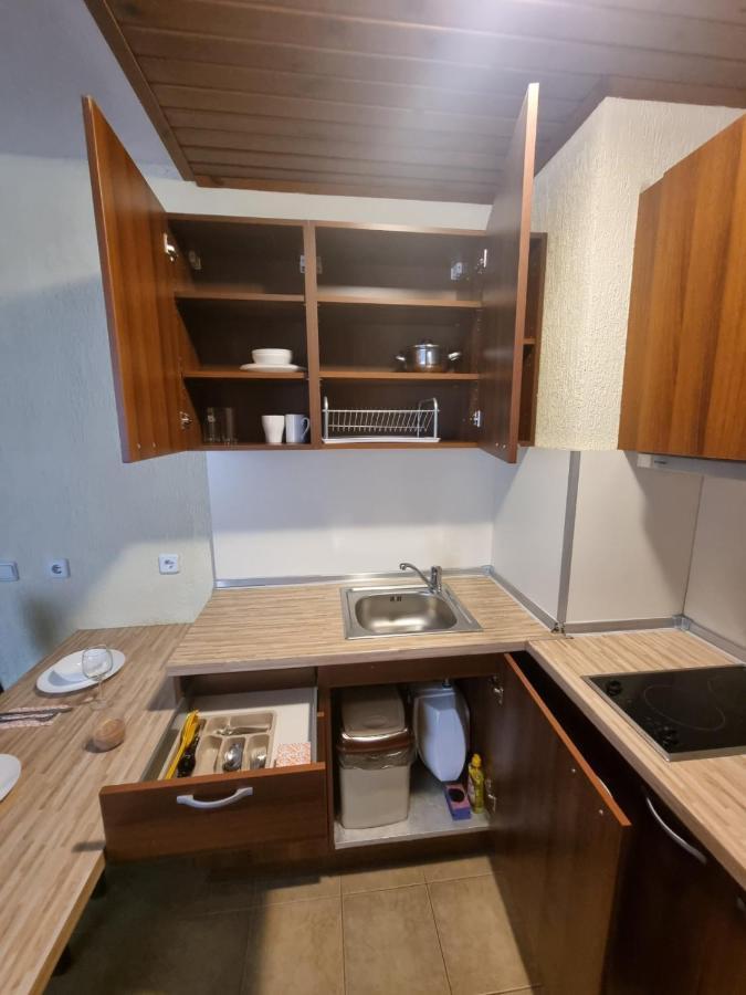 Cosy Apartments Within Walking Distance To Ski Lifts バンスコ エクステリア 写真